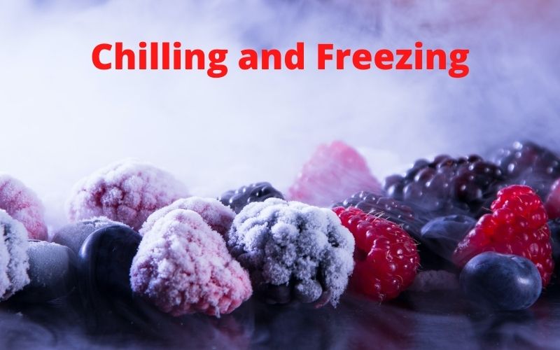 chilling and freezing of food