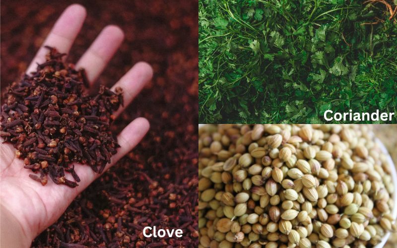 clove coriander Indian spices