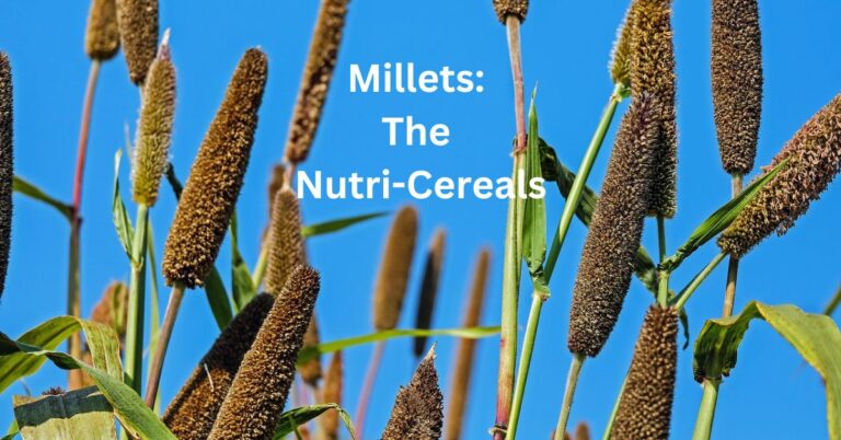 millets information