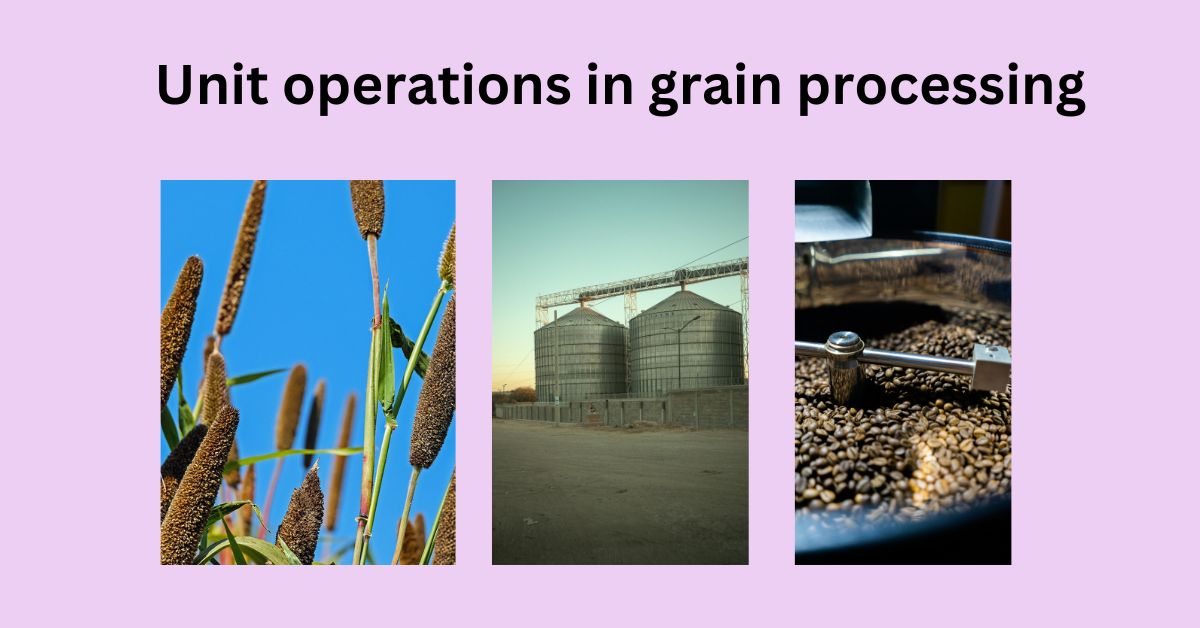 unit operations in grain processing